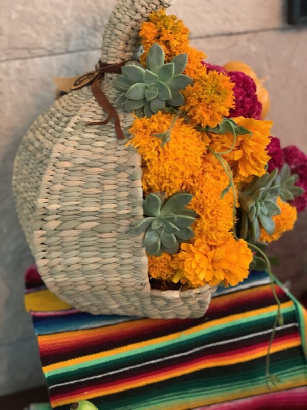 Calabazas canastas en lirio - Image 2