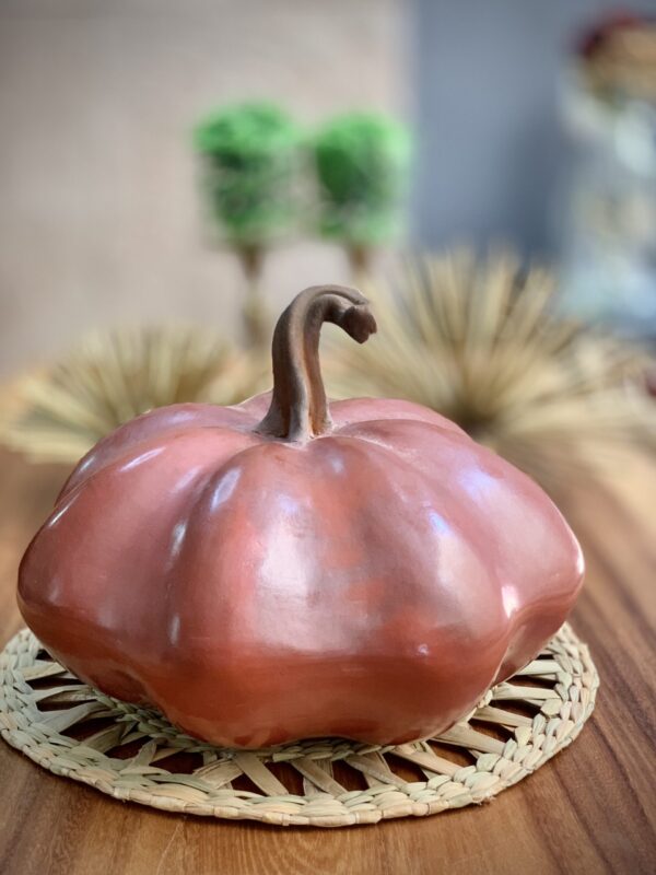 Calabaza de Castilla Roja - Image 3