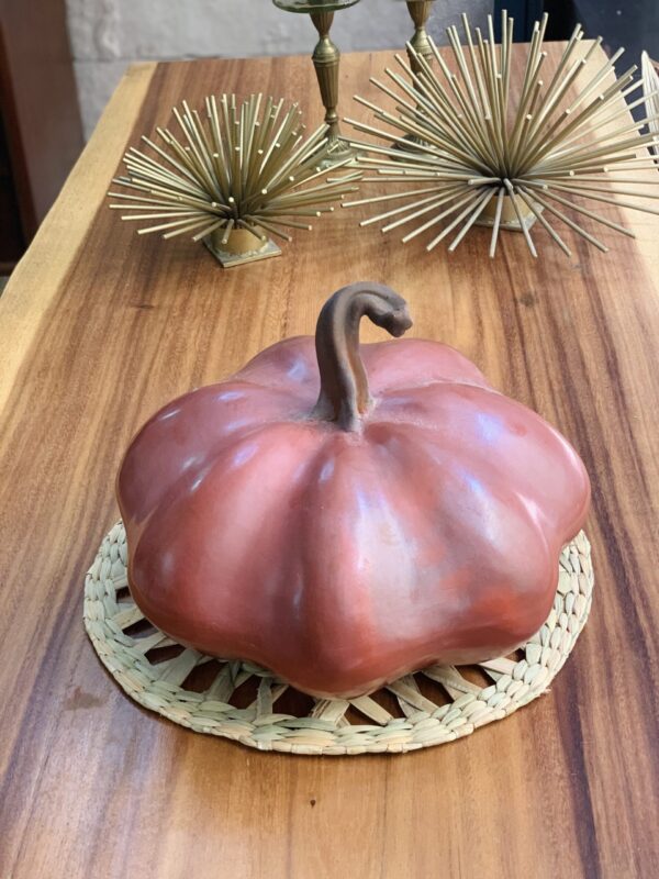 Calabaza de Castilla Roja - Image 2
