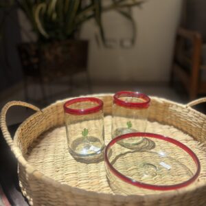 Juego de vasos viva México.